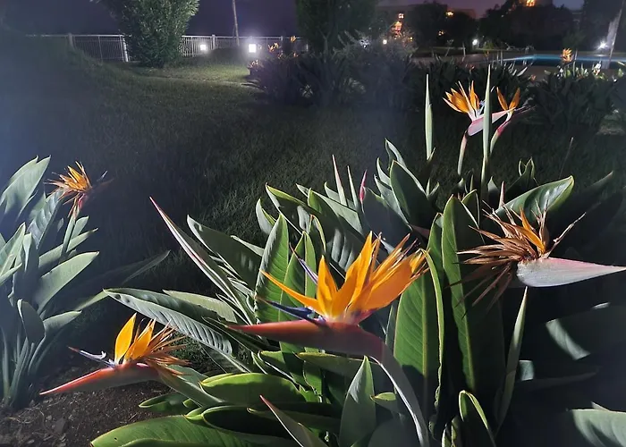 Hear The Ocean! 아파트 푼샬