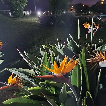 Hear The Ocean! Appartamento Funchal (Madeira)